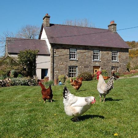 Nantgwynfaen Organic Farm Wales Vila Llandysul Exterior foto