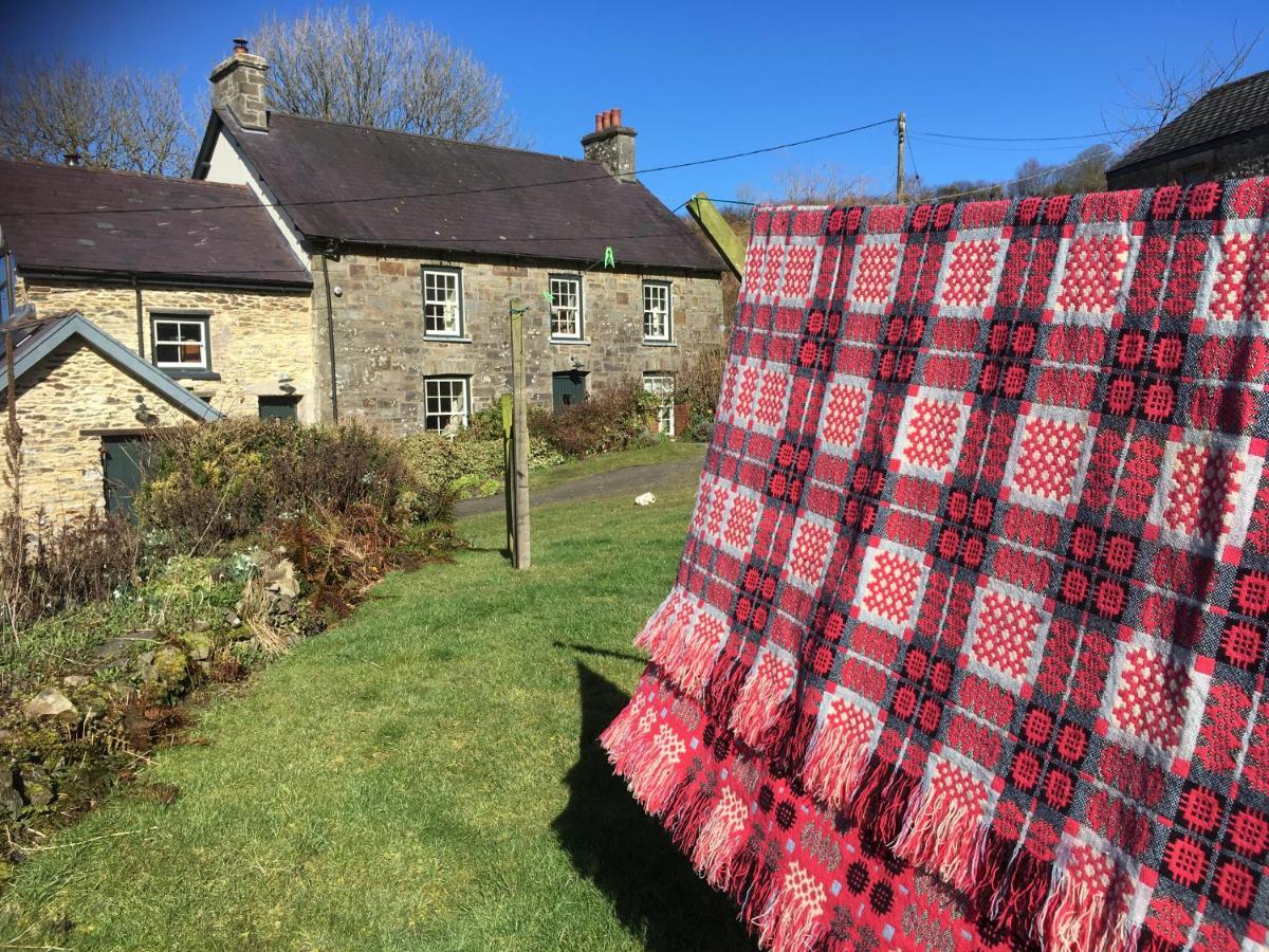 Nantgwynfaen Organic Farm Wales Vila Llandysul Exterior foto