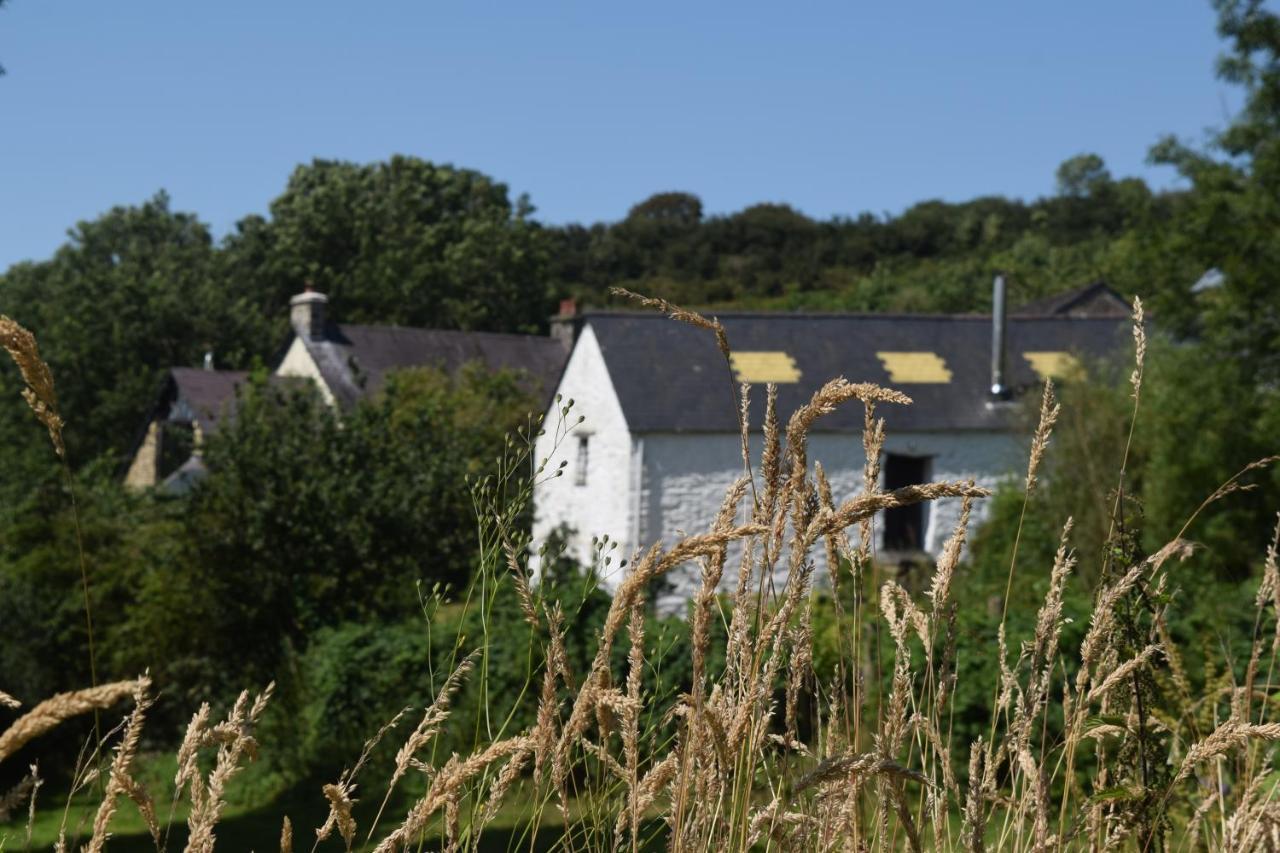 Nantgwynfaen Organic Farm Wales Vila Llandysul Exterior foto