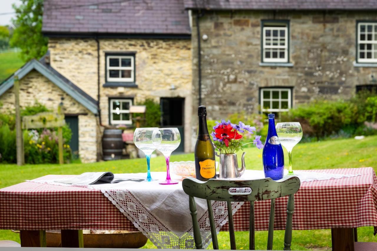 Nantgwynfaen Organic Farm Wales Vila Llandysul Exterior foto