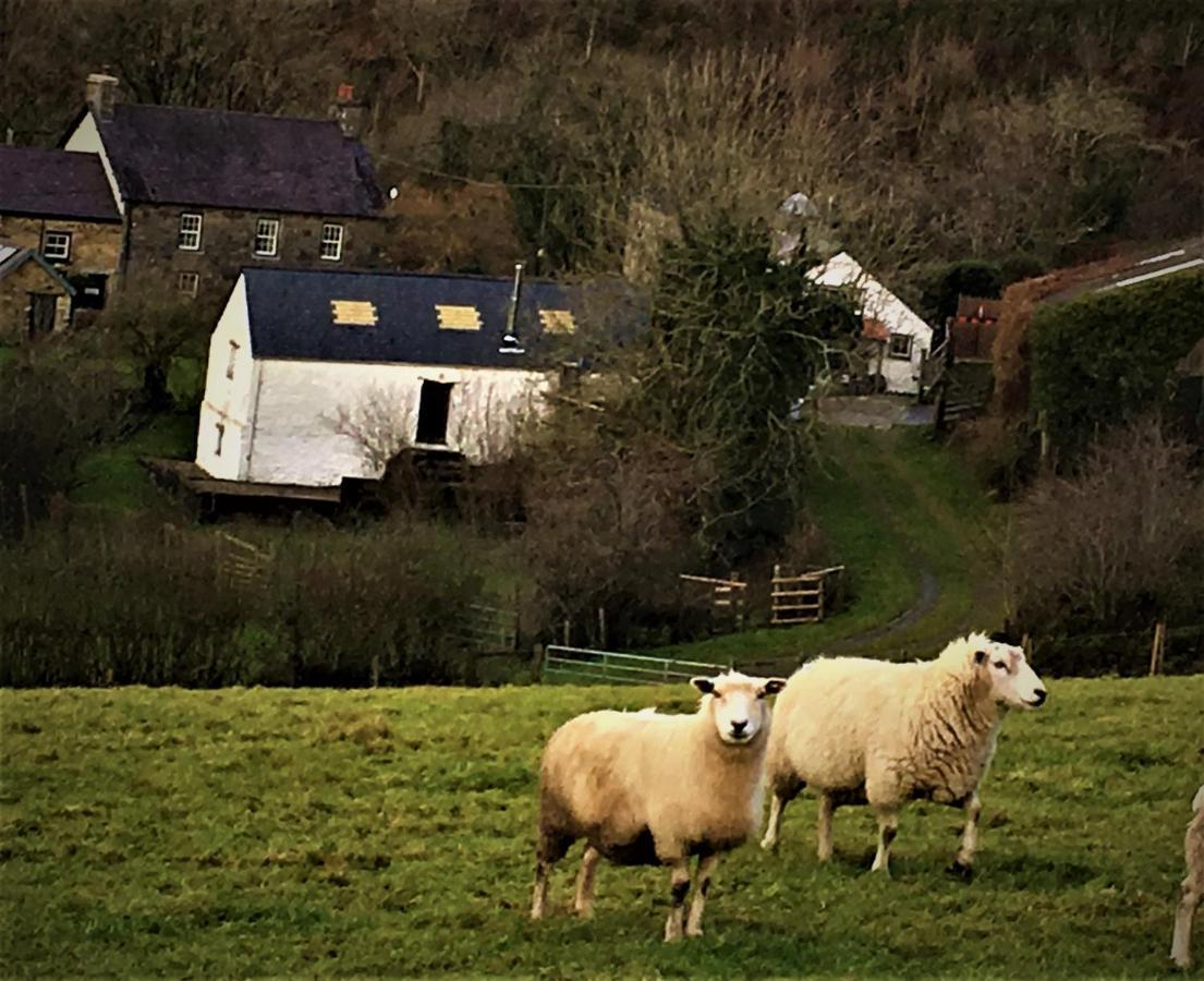 Nantgwynfaen Organic Farm Wales Vila Llandysul Exterior foto