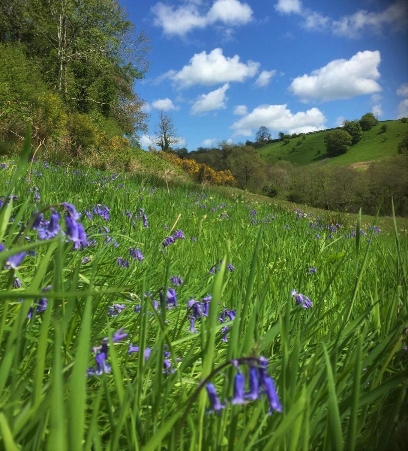 Nantgwynfaen Organic Farm Wales Vila Llandysul Exterior foto