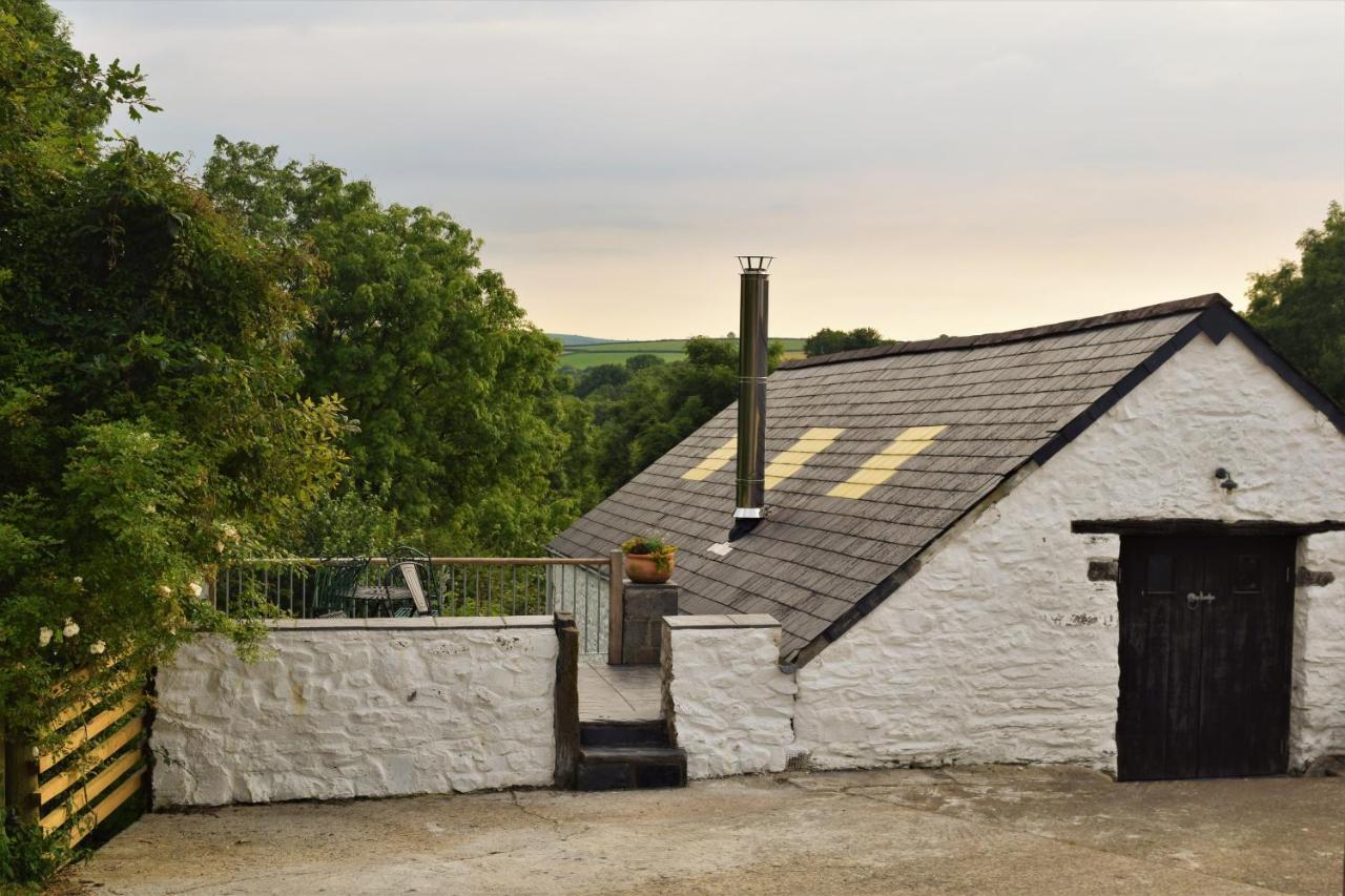 Nantgwynfaen Organic Farm Wales Vila Llandysul Exterior foto