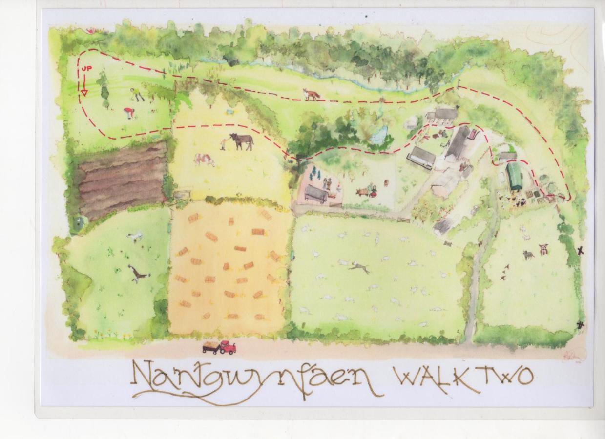 Nantgwynfaen Organic Farm Wales Vila Llandysul Exterior foto