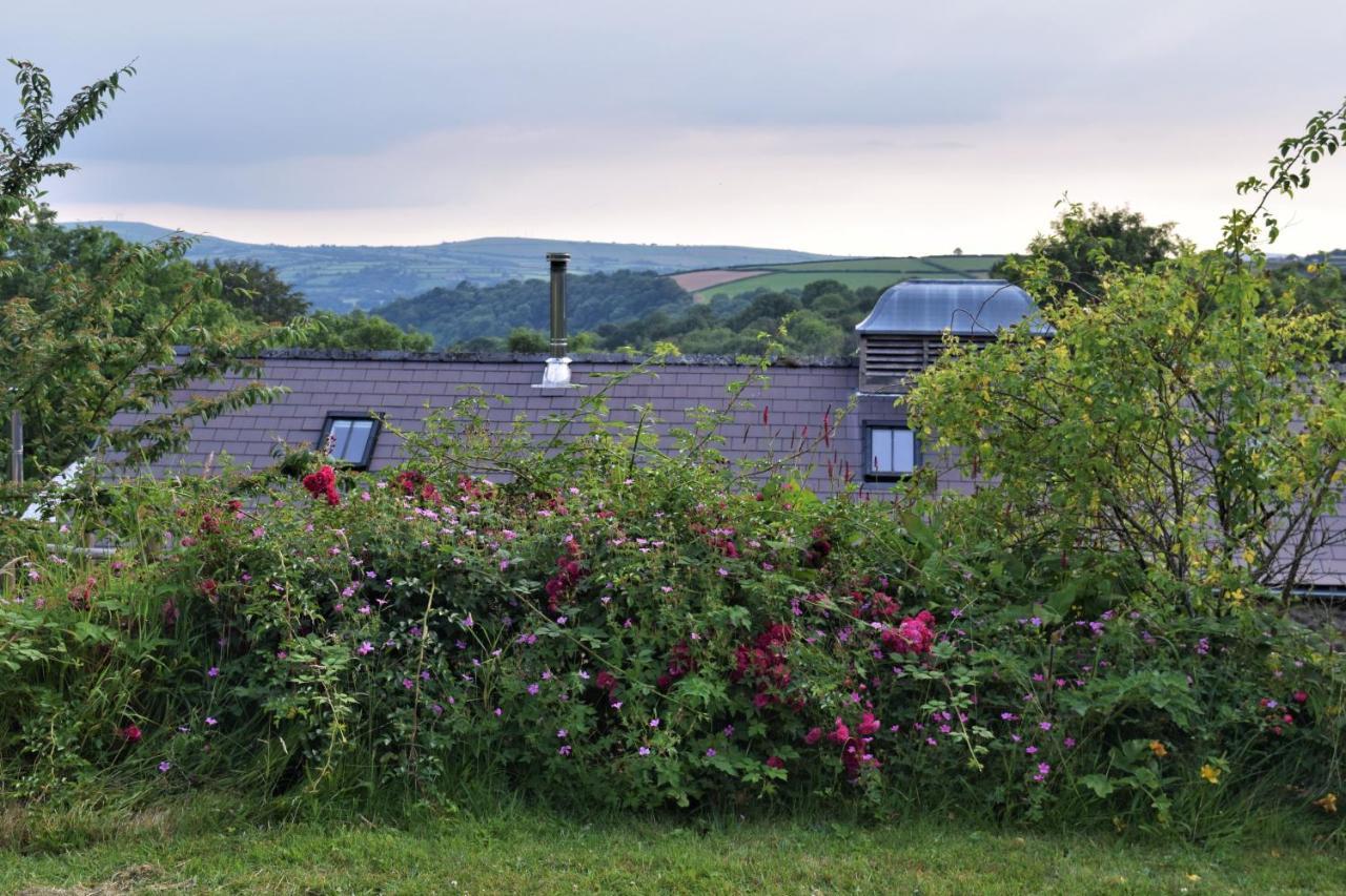 Nantgwynfaen Organic Farm Wales Vila Llandysul Exterior foto