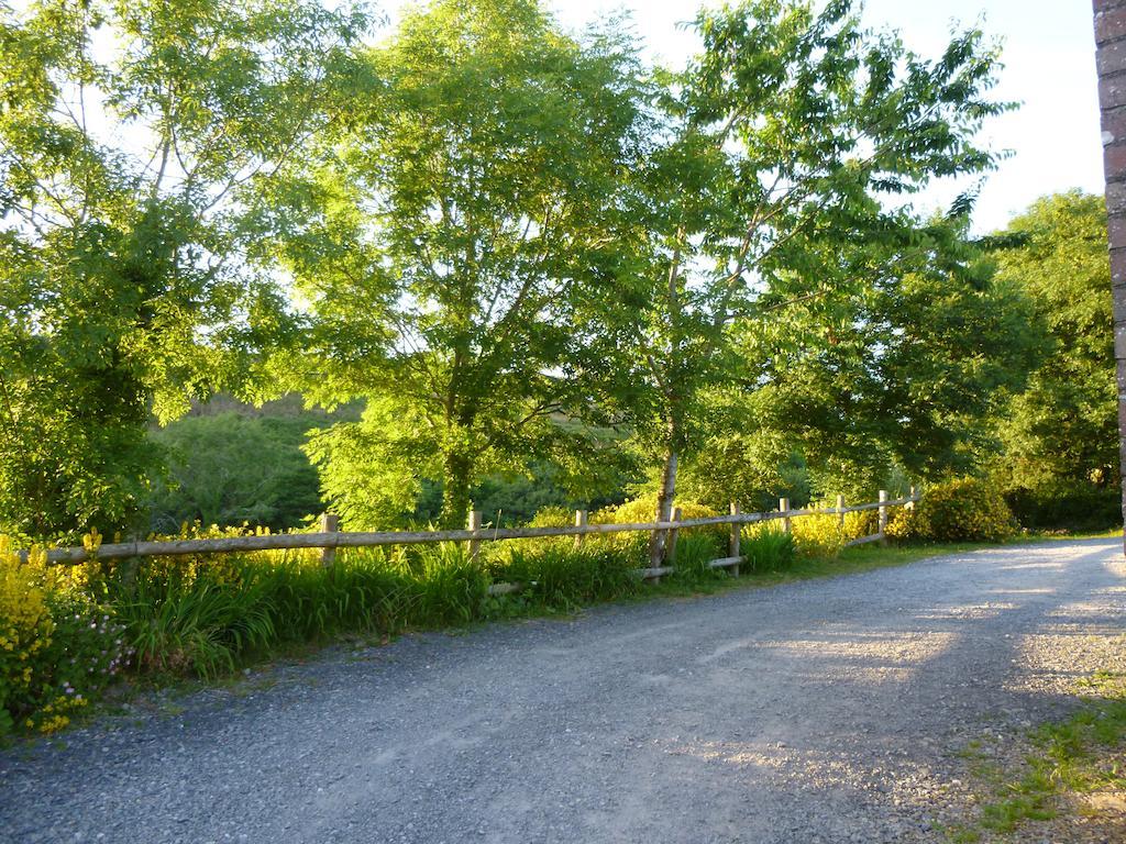 Nantgwynfaen Organic Farm Wales Vila Llandysul Exterior foto