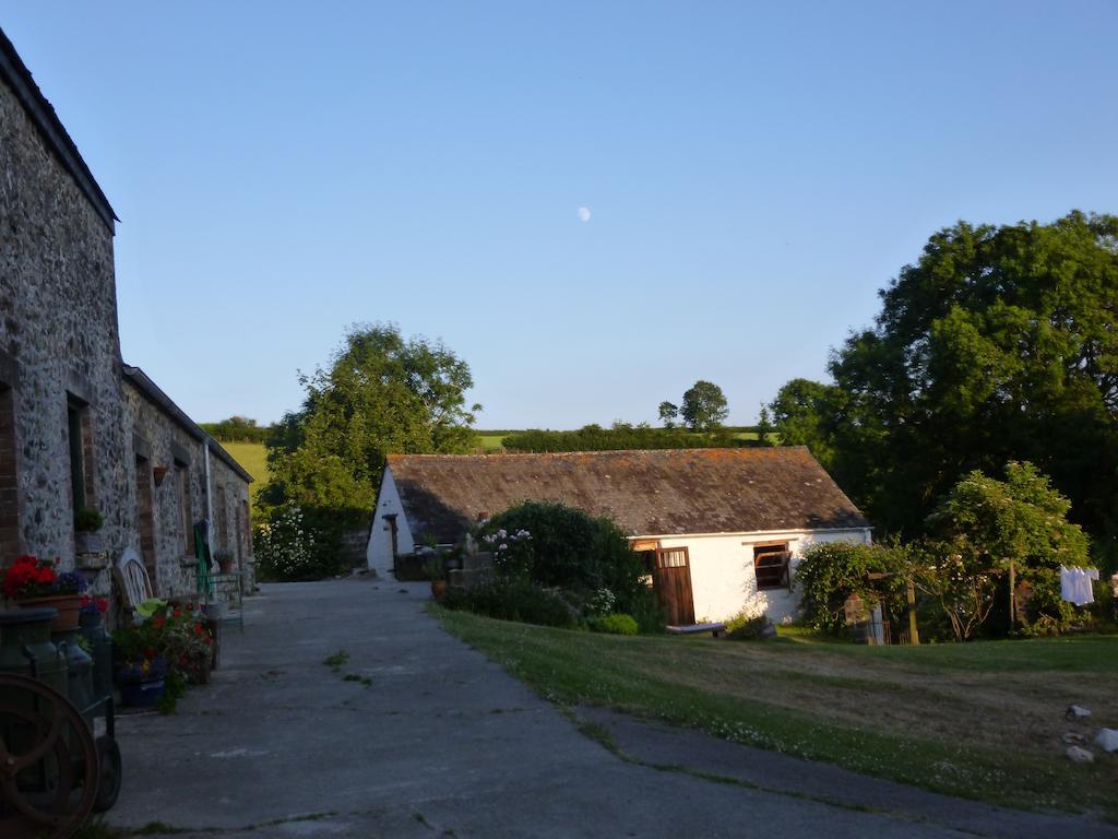 Nantgwynfaen Organic Farm Wales Vila Llandysul Exterior foto