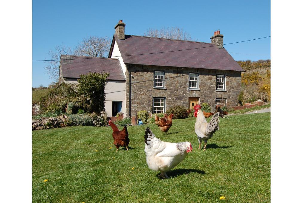 Nantgwynfaen Organic Farm Wales Vila Llandysul Exterior foto