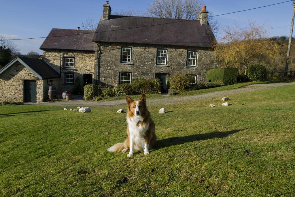 Nantgwynfaen Organic Farm Wales Vila Llandysul Exterior foto
